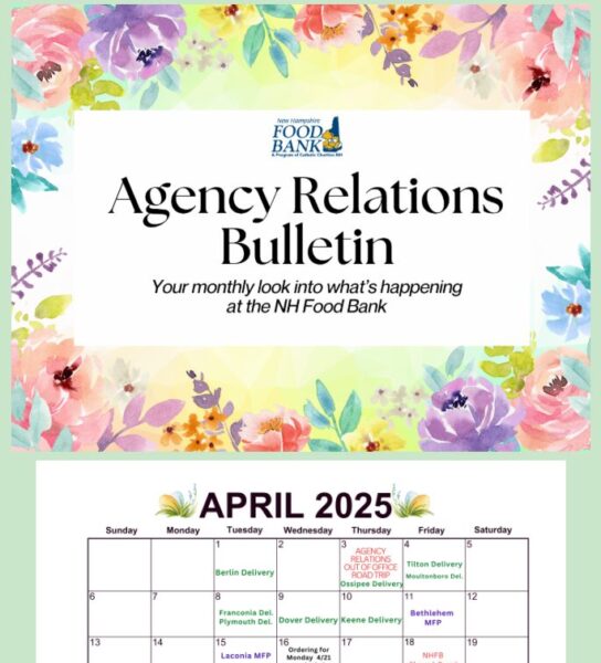 Screenshot of April 2025 Agency Relations Bulletin Email