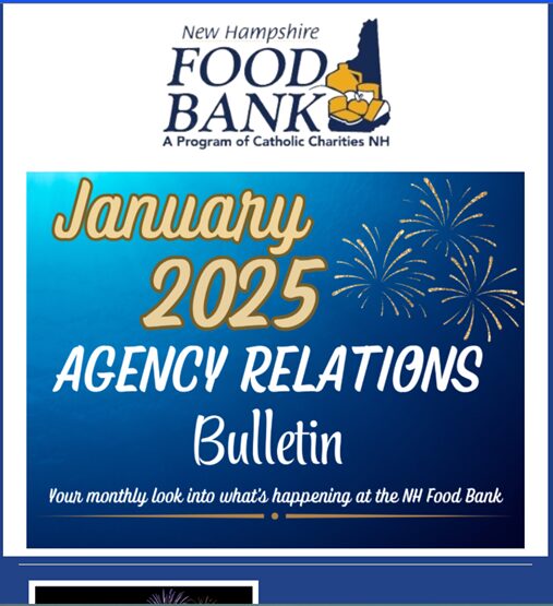 January Agency Relations Bulletin Screenshot