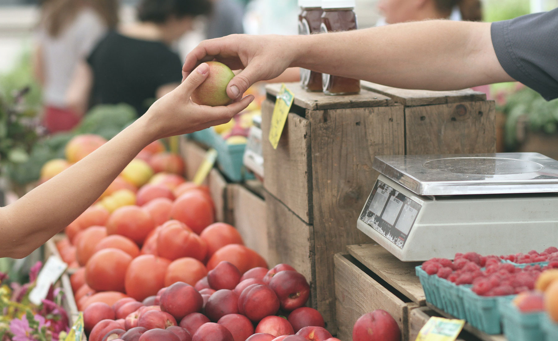 USDA Awards 900,000 to the NH Food Bank to Expand ‘NH Feeding NH’ Program New Hampshire Food Bank