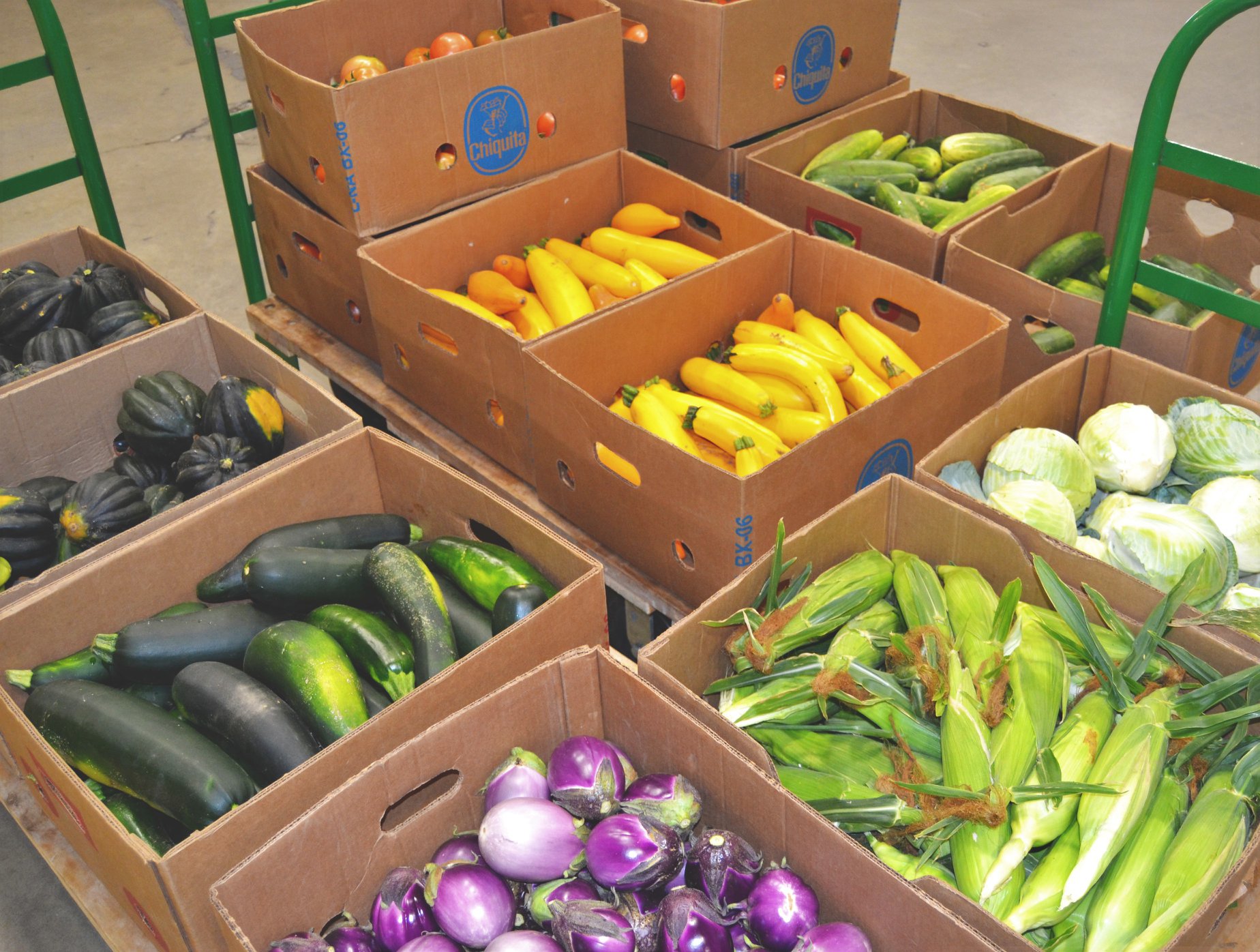 Production Garden New Hampshire Food Bank